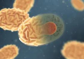 Microscopic images of pathogens