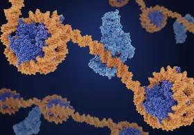 Computer image of biological molecules