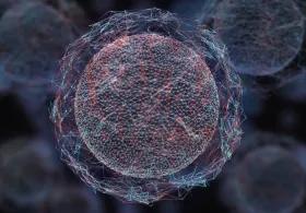 Computer graphic of biological molecule