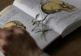 Hands studying medical text book