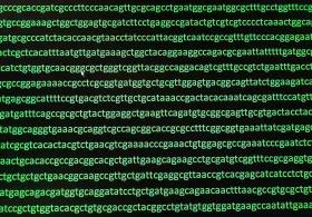 Genetic code sequence