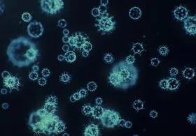 Magnified image of pathogens