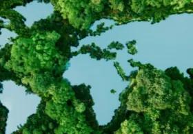 3D ecological map showing blue bodies of water and raised land surfaces covered in stylized tree models.