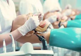 A row of dental students examining models of dental patients. 