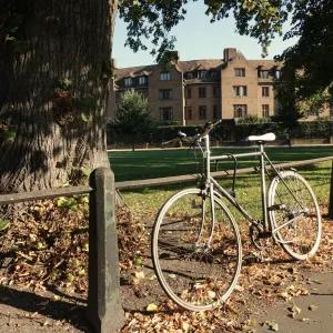 Bicycle leaning against railings by a lawn in front of a college