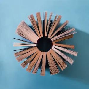Aerial perspective of a group of paperback books arranged in a circle, their pages fanning out.