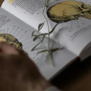 Hands studying medical text book