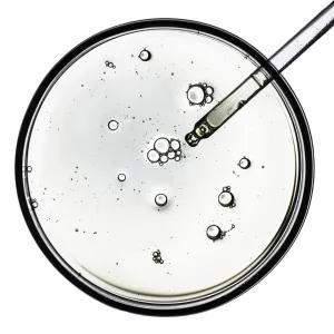 Petri dish containing clear liquid and some bubbles, with a dropper adding liquid. 