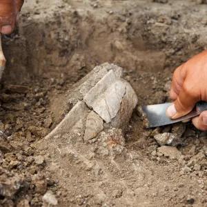 Archaeological excavations, archaeologists work, dig up an ancient clay artifact with special tools in soil.