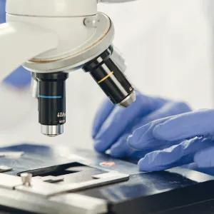 Close-up of Lab Worker's hands in blue gloves. Looking at Specimen under Microscope. 