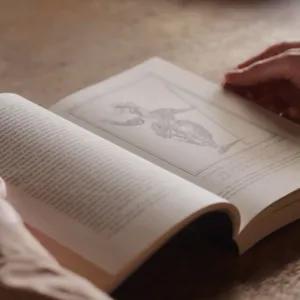 An open book on a wooden table.