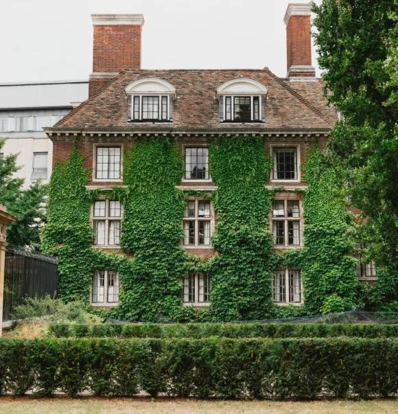 Vine-covered University of Cambridge brick building.