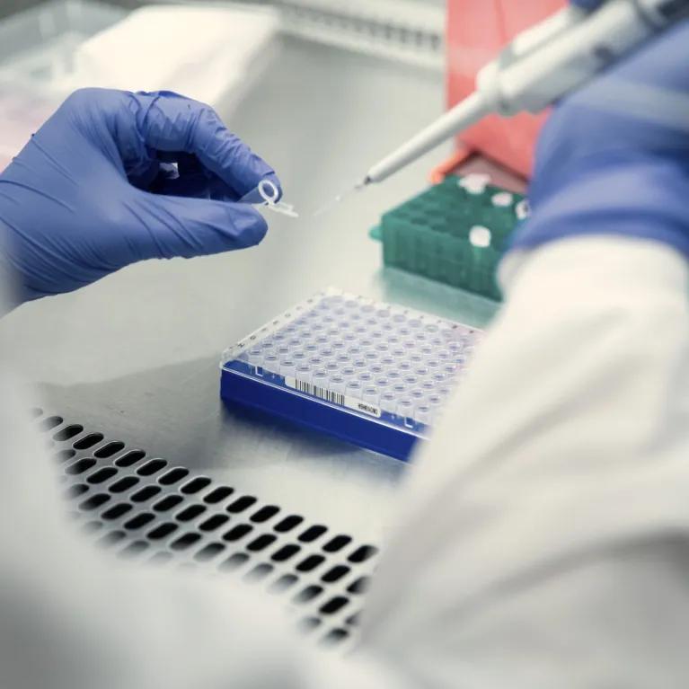 The gloved hands of a scientist conducting testing in a laboratory.