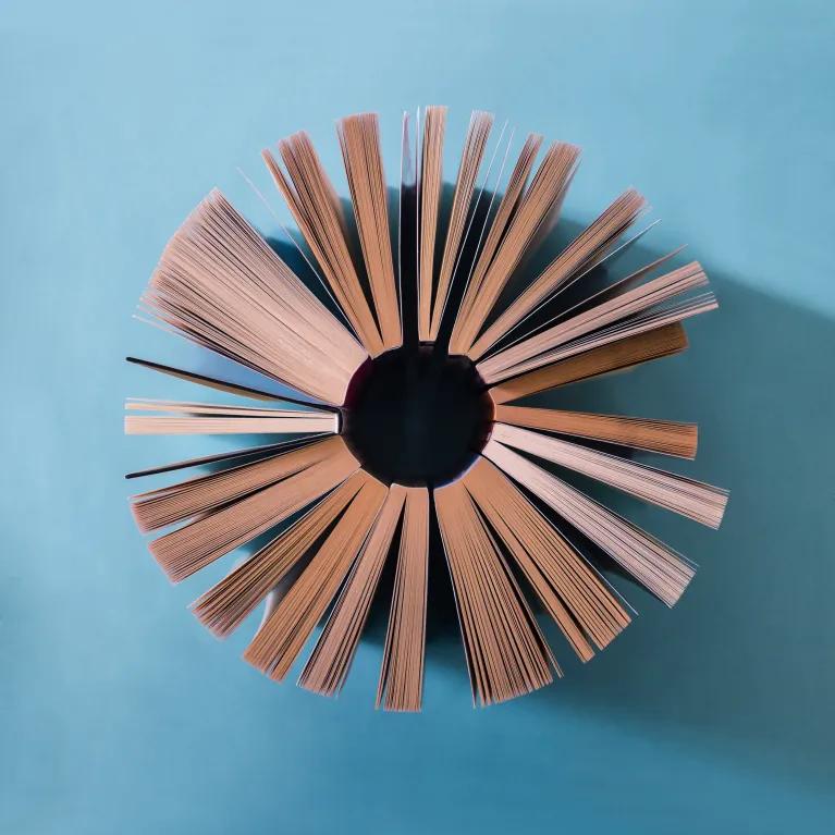 Aerial perspective of a group of paperback books arranged in a circle, their pages fanning out.