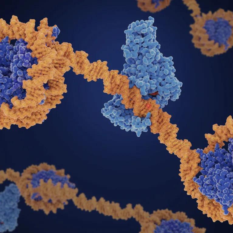 Computer image of biological molecules