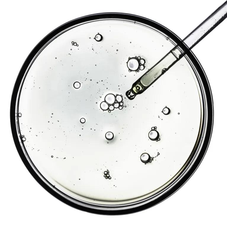 Petri dish containing clear liquid and some bubbles, with a dropper adding liquid. 