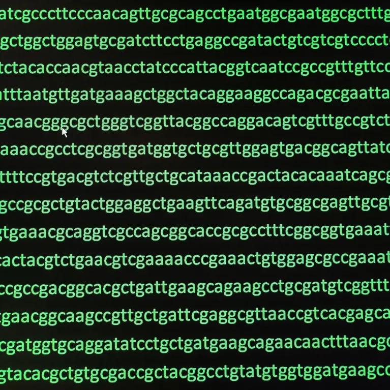 Genetic code sequence