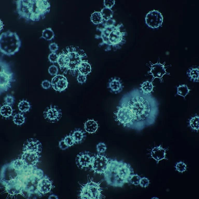 Magnified image of pathogens