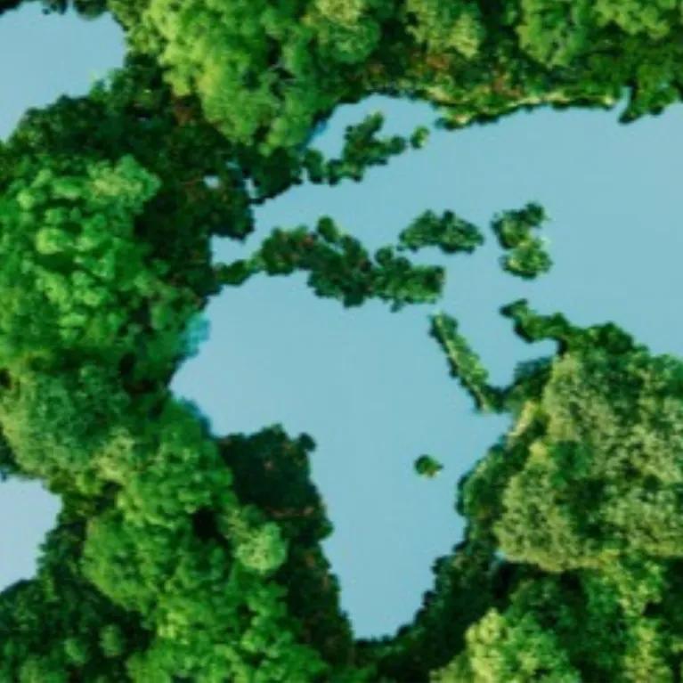 3D ecological map showing blue bodies of water and raised land surfaces covered in stylized tree models.