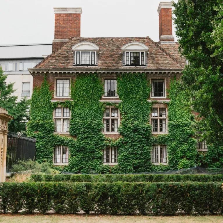 Vine-covered University of Cambridge brick building.
