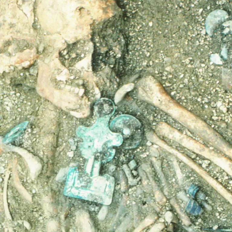 skeleton remains
